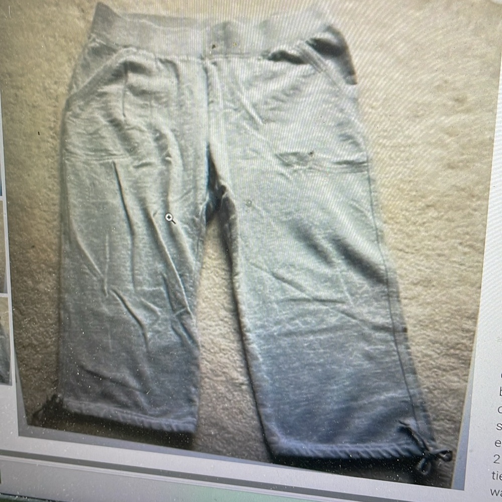 Hanes Gray Capri Pants L
